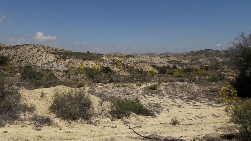 TERRENO RÚSTICO en Los Roques MURCIA photo 0