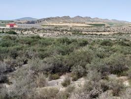 Finca Rústica en Lo Reolí photo 0