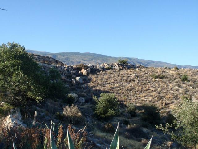 Pintoresco terreno con cortijos a rehabilitar. Desde 6400 m2. photo 0