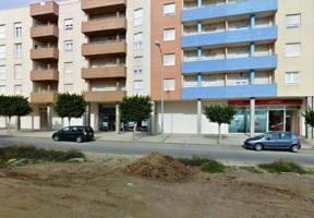 Oficina En alquiler en Centro Ejido, El Ejido photo 0