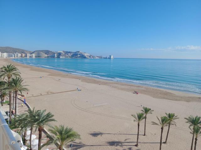 APARTAMENTO EN PRIMERA LINEA CON EXCELENTES VISTAS AL MAR photo 0