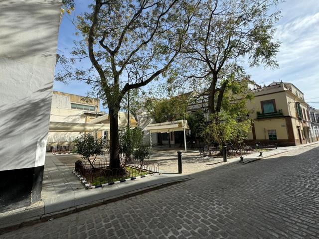 GRAN PISO JUNTO LA PLAZA DEL CABILDO.¡¡¡¡¡ photo 0