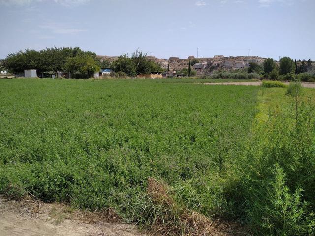 HUERTA DE REGADÍO EN TORRE ALTA photo 0