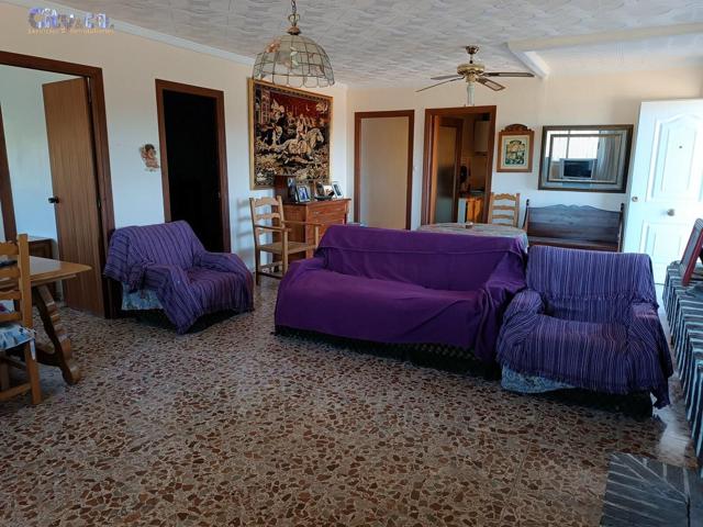 Casa con parcela en Campotejar Baja, Molina de Segura photo 0