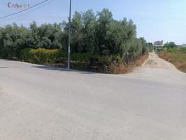 PARCELA EN MoLINA DE SEGURA, HUERTA DE ARRIBA photo 0