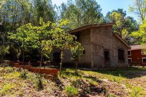 MASIA EN EL DESIERTO DE LAS PALMAS photo 0