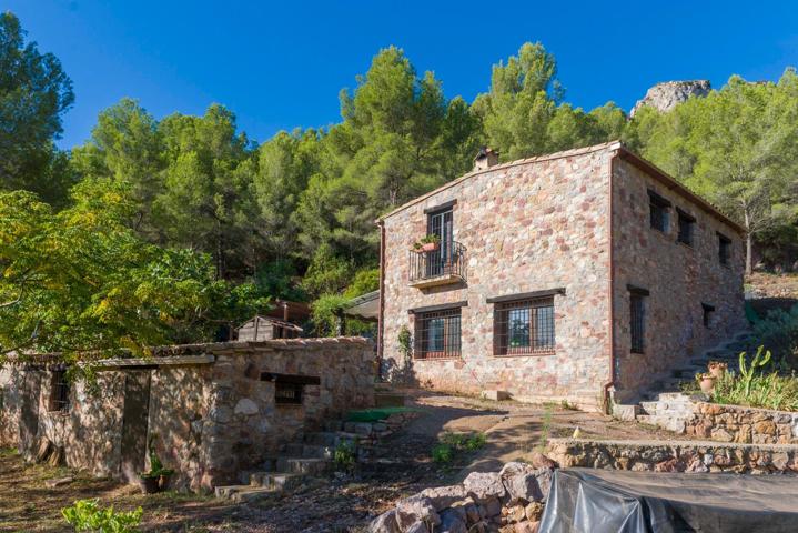 MASIA EN DESIERTO PALMAS PARAJE NATURAL TERMINO CABANES PROXIMO BENICASIM photo 0