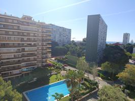 ALQUILER ANUAL APARTAMENTO ZONA TORREÓN-VORAMAR DISPONIBLE EN SEPTIEMBRE photo 0