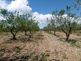 TERRENO EN VENTA CON BUEN ACCESO, LUZ Y AGUA CERCA photo 0