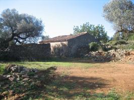 MASIA DE PIEDRA PARA REFORMAR EN UNA FINCA DE DOS HECTAREAS DE TERRENO photo 0