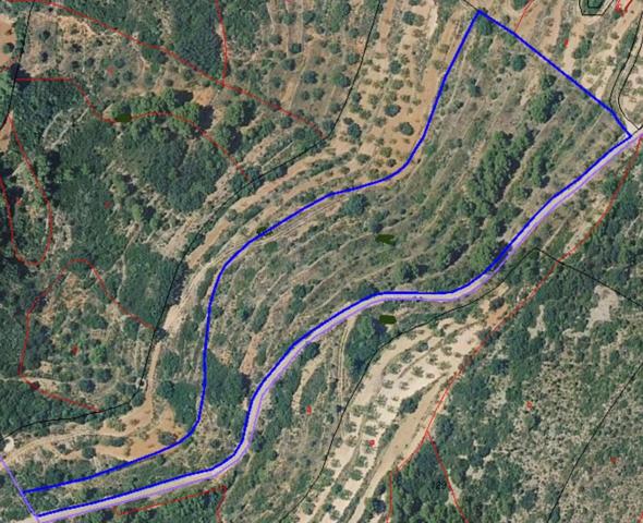 VENTA FINCA RUSTICA photo 0