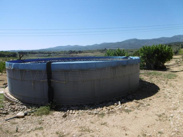FINCA RUSTICA CON POZO DE AGUA ABUNDANTE, BALSA, CASETA Y LUZ DE RED photo 0