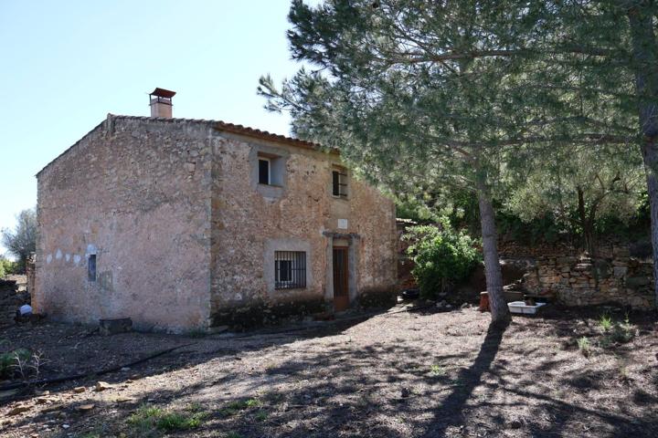 MASIA EN VILAFAMES CON TERRENO photo 0