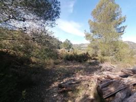 FINCA RUSTICA EN BORRIOL photo 0