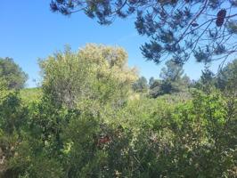 SE VENDEN DOS FINCAS RUSTICAS CON VISTAS A LA POBLACIÓN DE VALL D'ALBA photo 0