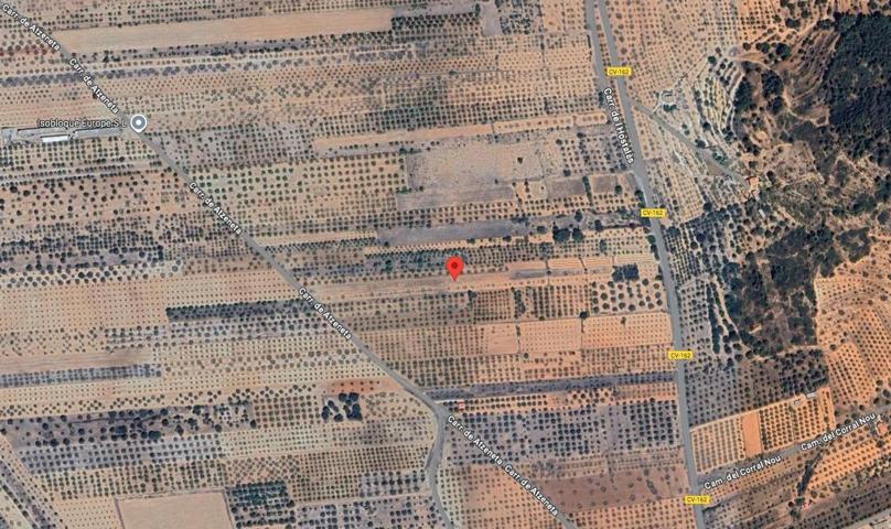 FINCA RUSTICA ECONOMICA CON ACCESO POR CAMINO ASFALTADO EN ZONA LA BARONA photo 0