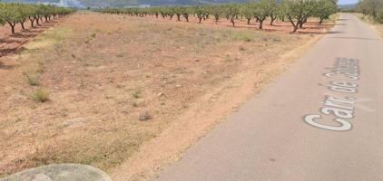 FINCA RUSTICO SECANO EN VILLAFAMES ACCESO POR CAMINO ASFALTADO photo 0