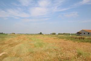 Terreno Urbanizable En venta en Ejea, Ejea De Los Caballeros photo 0