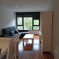 ALQUILER 3 HABITACIONES EN RENEDO photo 0