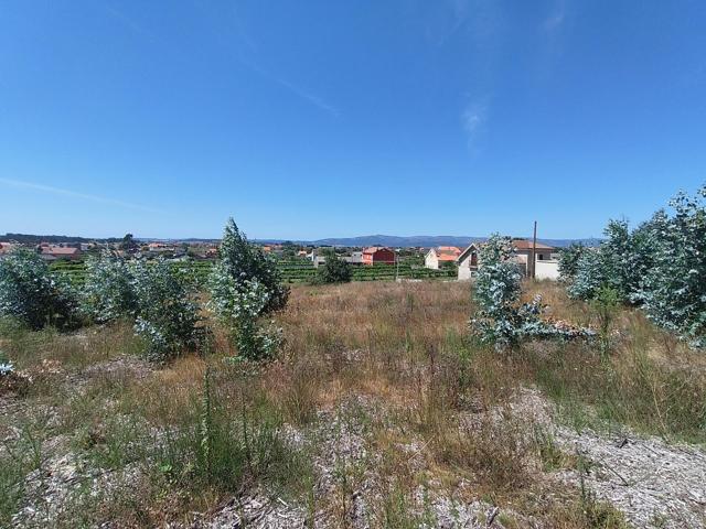 FINCAS EDIFICABLES EN ARALDE - CALEIRO photo 0