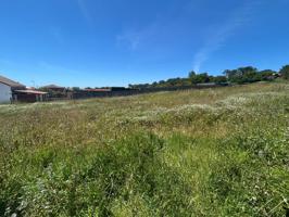 SE VENDE FINCA EN OLVEIRA (RIBEIRA) photo 0