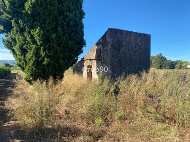 Finca con caseta de campo muy cerca del pueblo photo 0