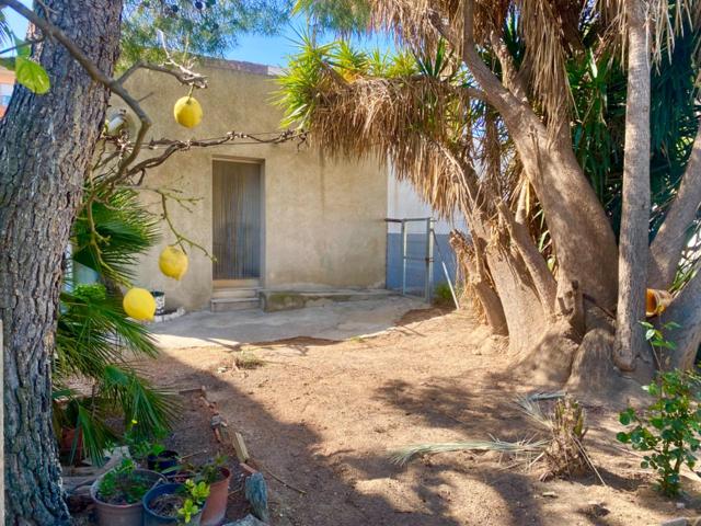 Casa en una planta con gran jardín photo 0