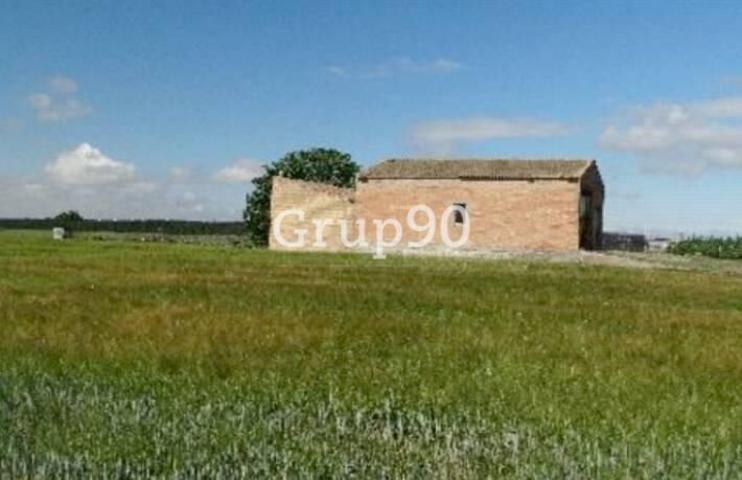 Finca de regadío con almacenes en venta en Alcoletge. photo 0