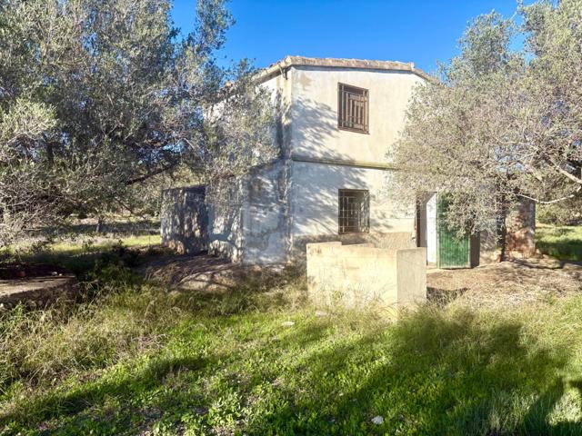 Casa de campo en heredad de olivos photo 0