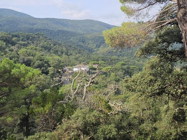 VALLGORGUINA (CAN PUIGDEMIR): IMAGÍNESE SU CASA AQUÍ, CON VISTAS DE PÁJARO JUNTO AL PARQUE NATURAL DEL MONTNEGRE photo 0