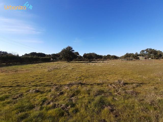 parcela en el coi con escrituras del terreno totalmente vallada a 10 min de Badajoz photo 0
