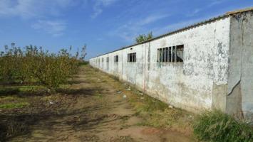 FINCA DE REGADIO DE 6135MTRS CON  NAVE ,TRASTERO Y POZO EN PUEBLA DE LA CALZADA photo 0