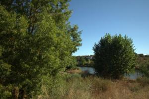 SE VENDE PARCELA DE RECREO RUSTICA EN CARRION. photo 0