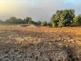 Agrícola En venta en Chasna, La Orotava photo 0