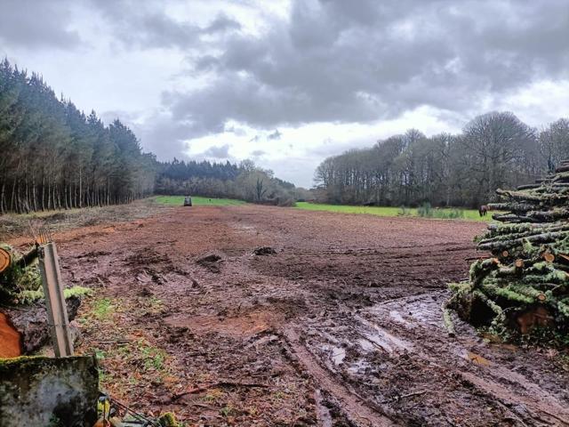 Terreno Urbanizable En venta en Lugo, Vilalba photo 0