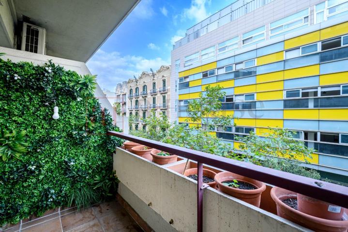 PISO RECIENTEMENTE REFORMADO EN L´EIXAMPLE photo 0