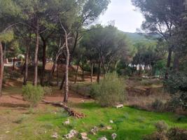 Terreno Urbanizable En venta en San Martín De Valdeiglesias photo 0