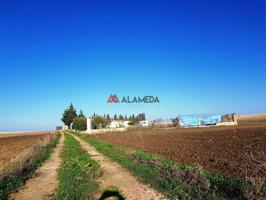 Parcela Segregada Miralamar photo 0