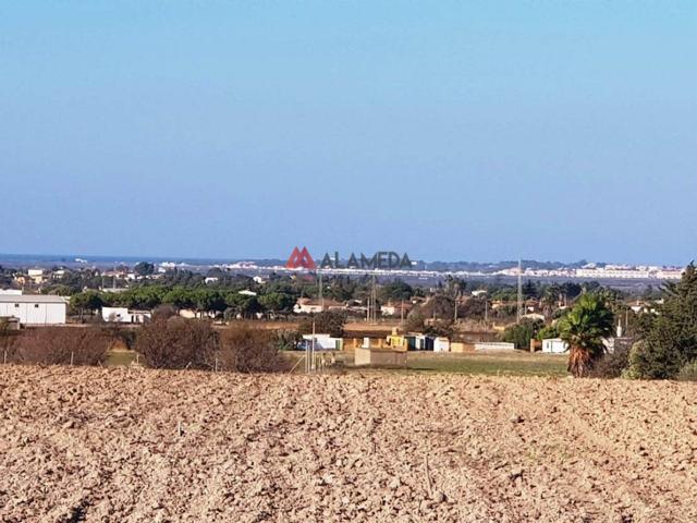 Parcela segregada de 3.353 m2 en Miralamar photo 0
