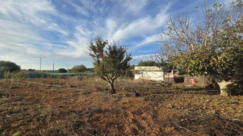 PARCELA -SEGREGADA EN ZONA PINAR DE LOS FRANCESES photo 0