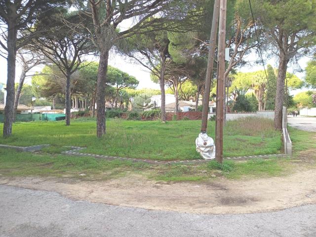 PARCELA RUSTICA SEGREGADA PINAR DEL EDEN photo 0