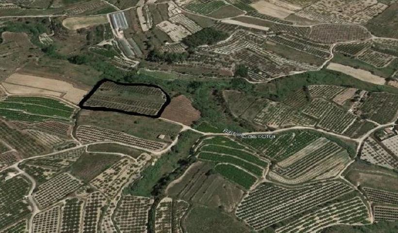 CASTELLÓ DE RUGAT (VALENCIA) - PARCELA - SE VENDE photo 0