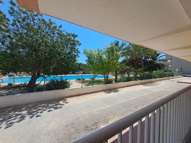 Apartamento de planta baja de 3 dormitorios a escasos pasos de la playa(Guardamar del Segura) photo 0