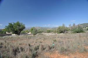 MUY BUENA Y PLANA PARCELA RURAL CERCA DEL PUEBLO DE BENISSA photo 0