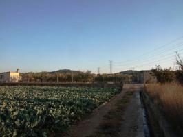 CAMPO VALLADO, CON NARANJOS Y CASETA PARA APEROS photo 0