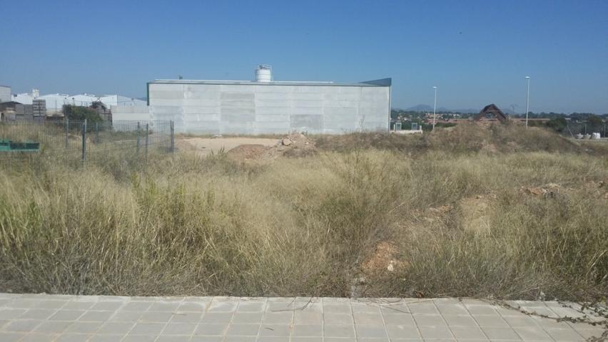 TERRENO INDUSTRIAL EN BENAGUACIL photo 0