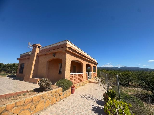 CHALET REFORMADO CON MUCHO TERRENO EN MARINES photo 0