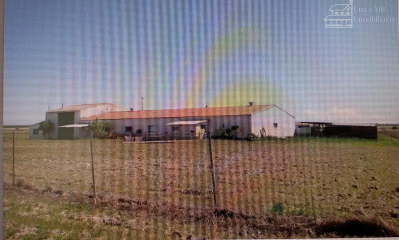 Terreno Urbanizable En venta en Matagalindo, Encinas De Abajo photo 0