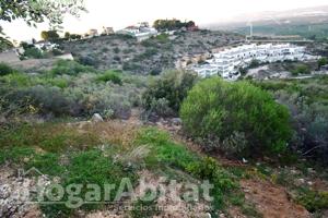 DOS AMPLIOS TERRENOS URBANOS PARA HACER LA CASA DE TUS SUEÑOS photo 0