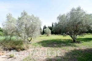 CHALET PARA REFORMAR CON PISCINA. TERRAZA Y GARAJE CERCA DE LA PLAYA photo 0